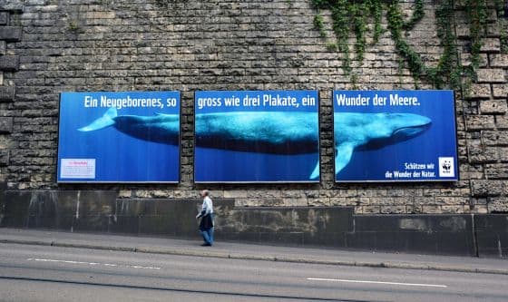 WWF Kampagne Wunder der Meere